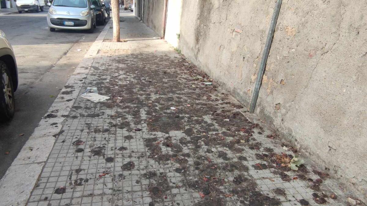 (Foto) Nei quartieri di Crotone: Corso Messina, una zona trafficata e degradata - 