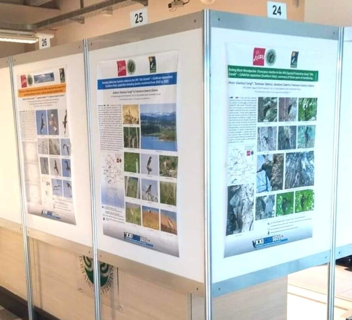 La Sila al XXI Convegno Italiano di Ornitologia - 
