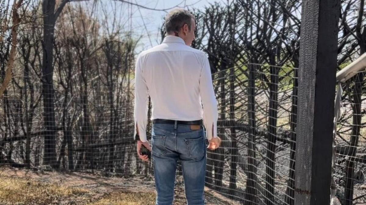 Brucia la casa estiva del presidente Occhiuto: «Danneggiata dalla stupidità di chi appicca incendi» - 