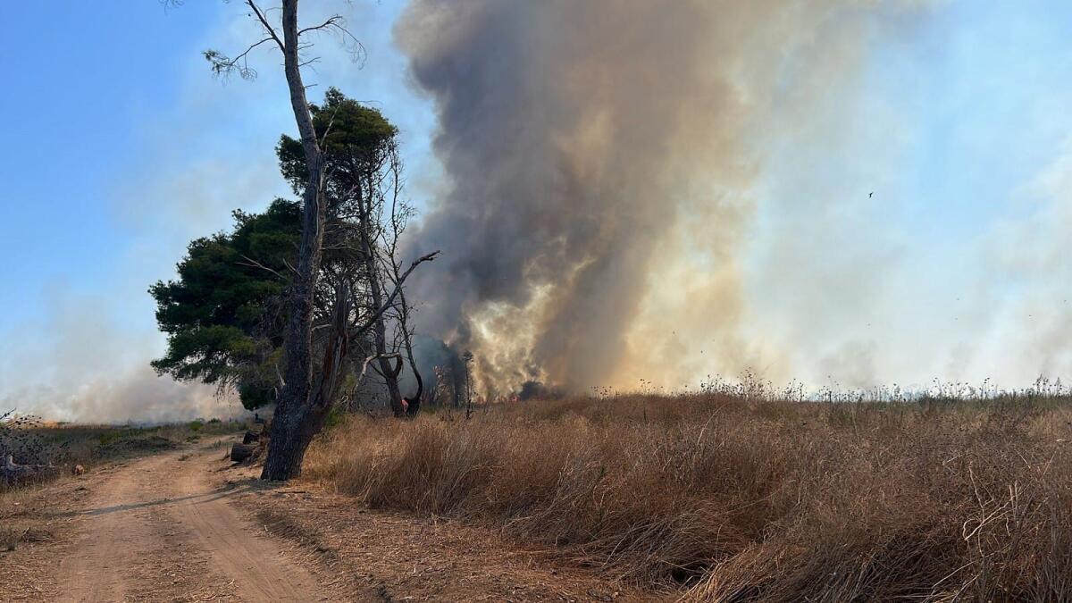 Isola di Capo Rizzuto (Kr) - In fiamme la pineta di Sovereto - 