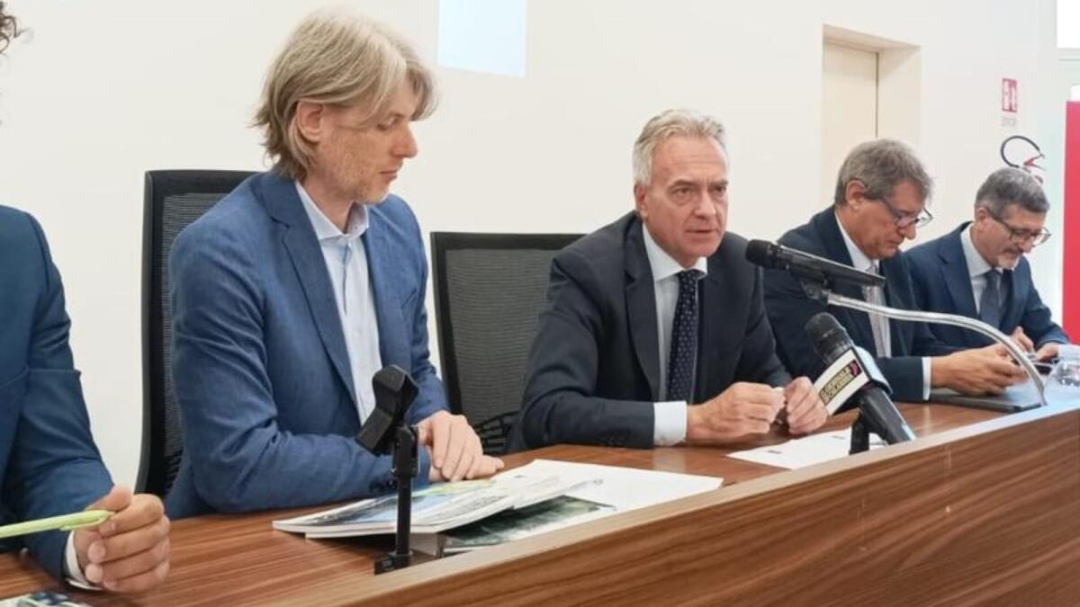 Gianluca Gallo: «Innovazione e ricerca e innovazione per potenziare il reparto dell'olivicoltura» - 