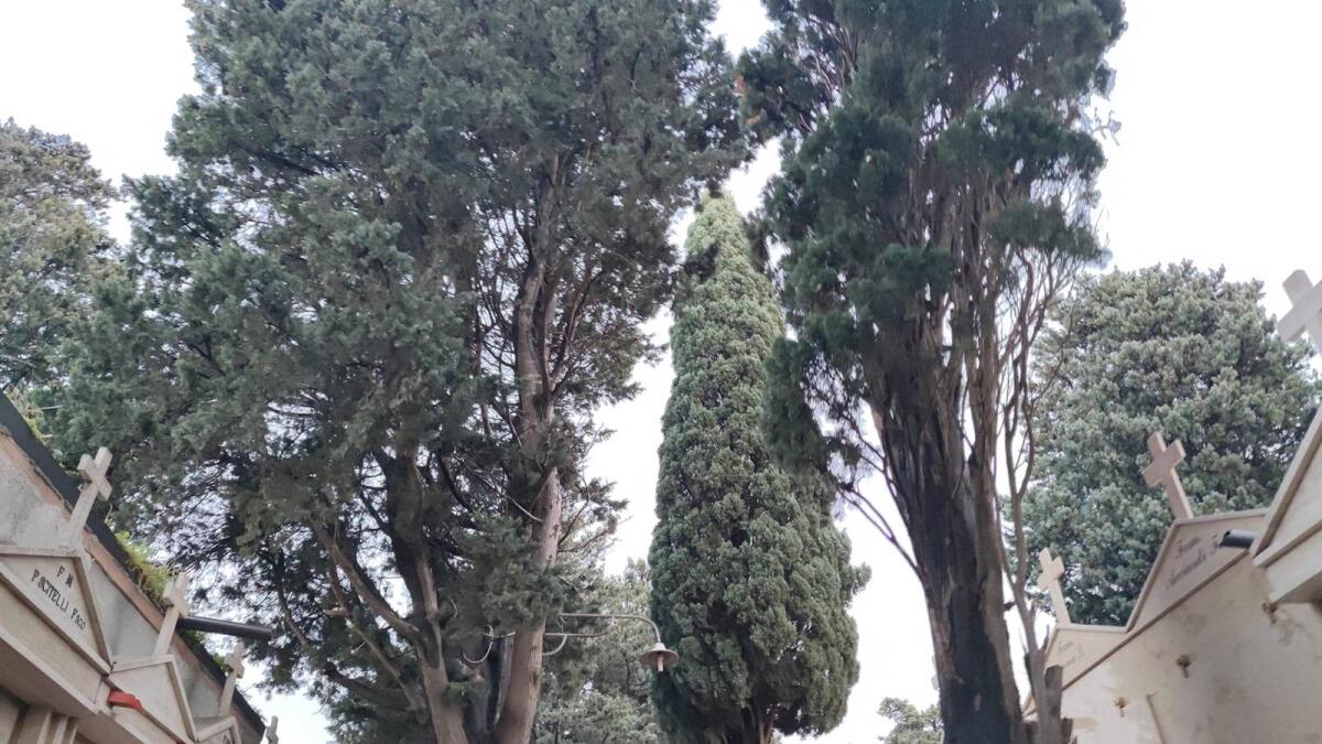 Melissa - Lavori al Cimitero, via alle costruzioni delle cappelle gentilizie - 