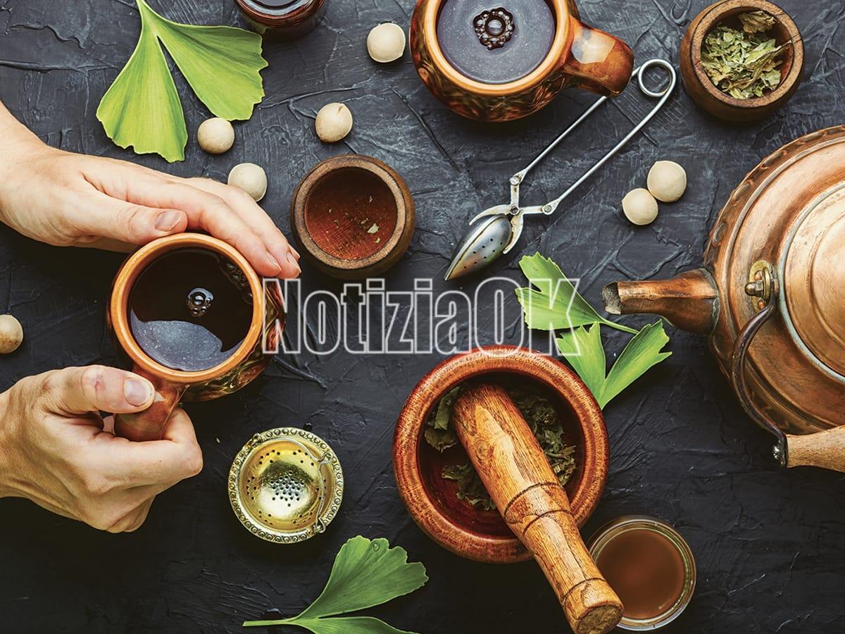 Lifestyle - Memoria sempre giovane? Ecco come - Healing herbal tea from the leaves and seeds of ginkgo biloba.Medical plants.Herbal medicine