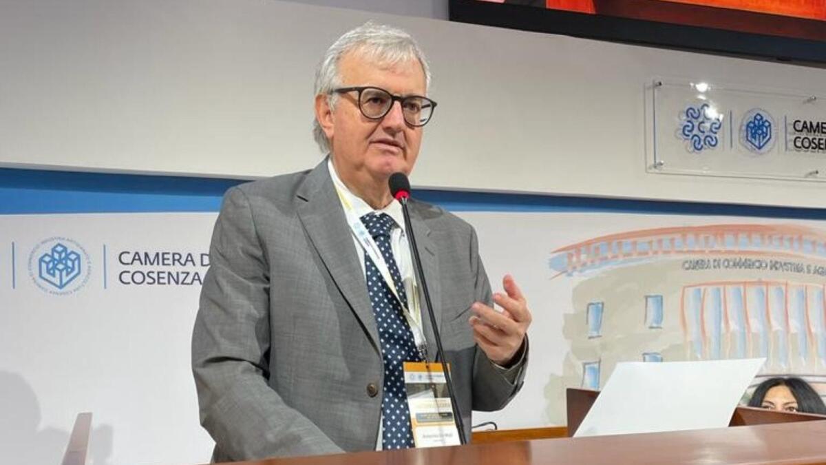 Confcommercio - Pieno sostegno alla proposta De Masi: premialità per le imprese resistenti alla criminalità - 