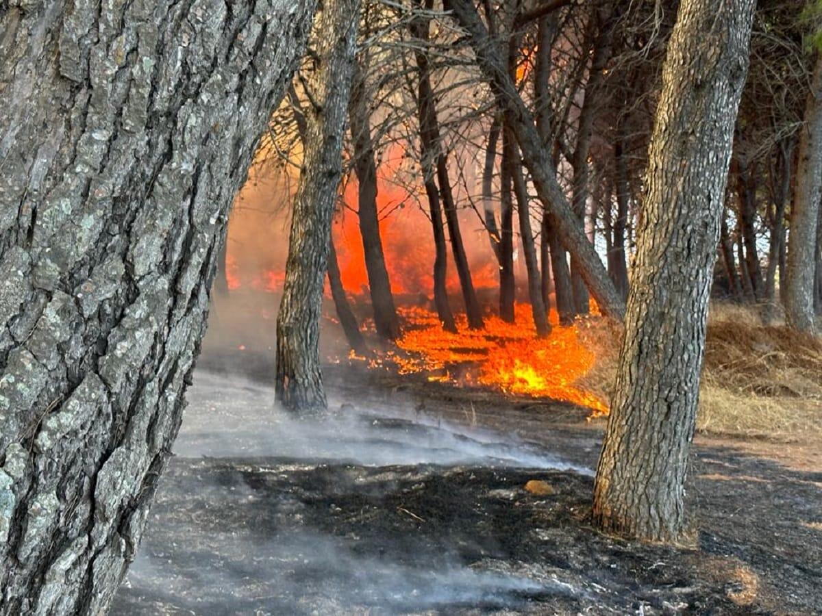 Sovereto in fiamme, il sindaco Vittimberga: "Isola ha un cuore grande, e annienteremo il male" - 