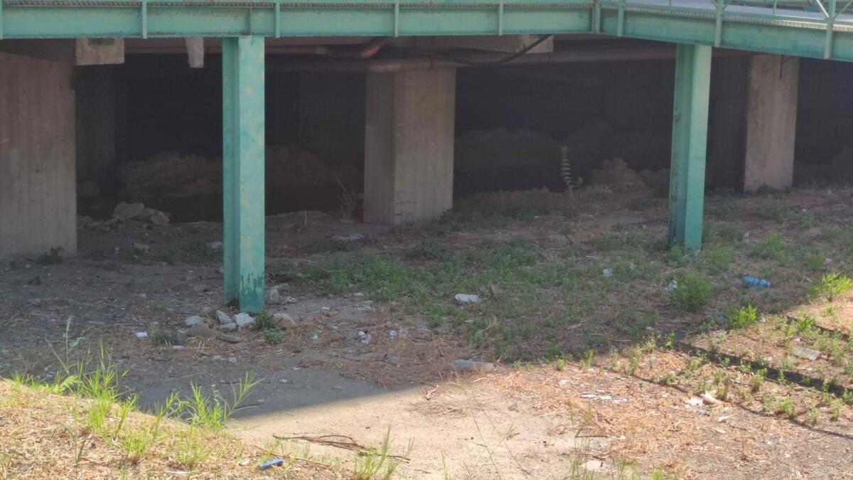 Nei quartieri di Crotone: in via Mario Nicoletta c'è una storia da salvaguardare e raccontare - 