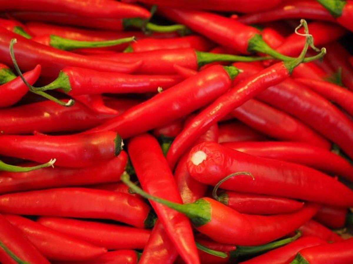 Consumi: boom nel consumo del peperoncini ma c'è poco "Made in Italy" - 