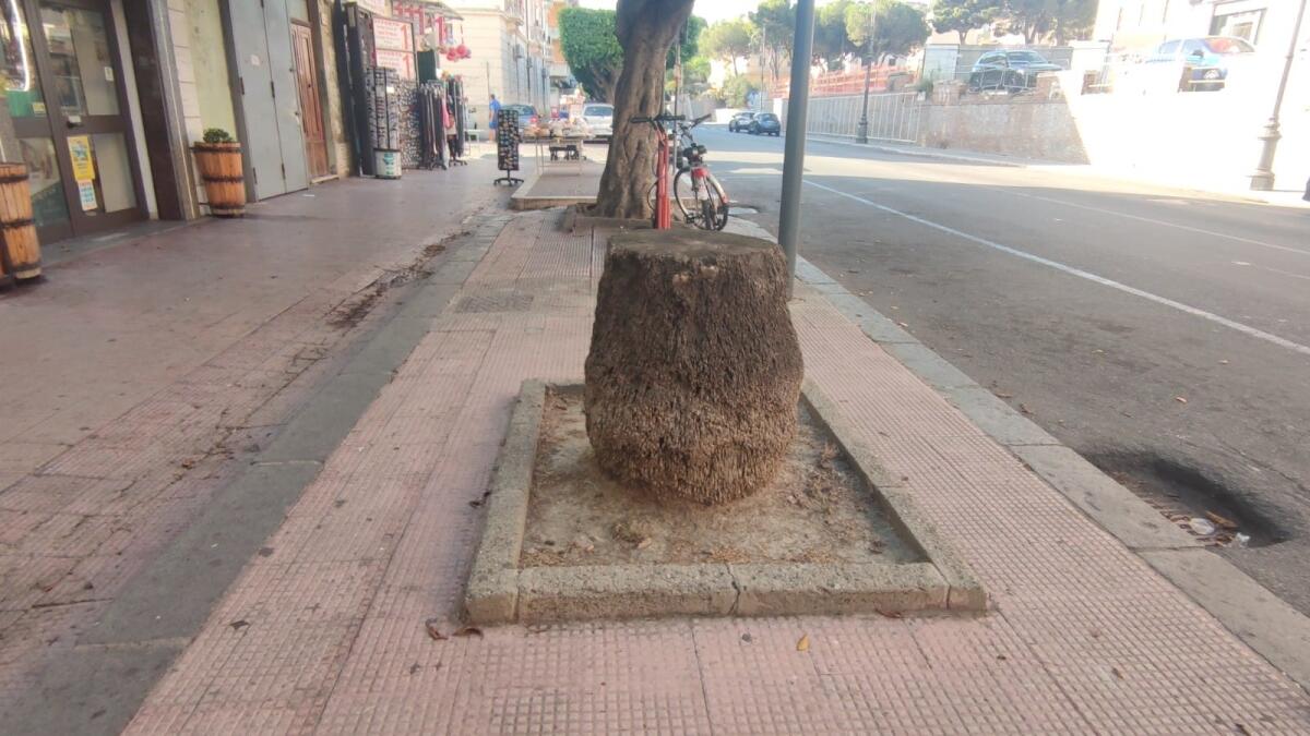 Nei quartieri di Crotone: un tavolino nel salotto della città - 