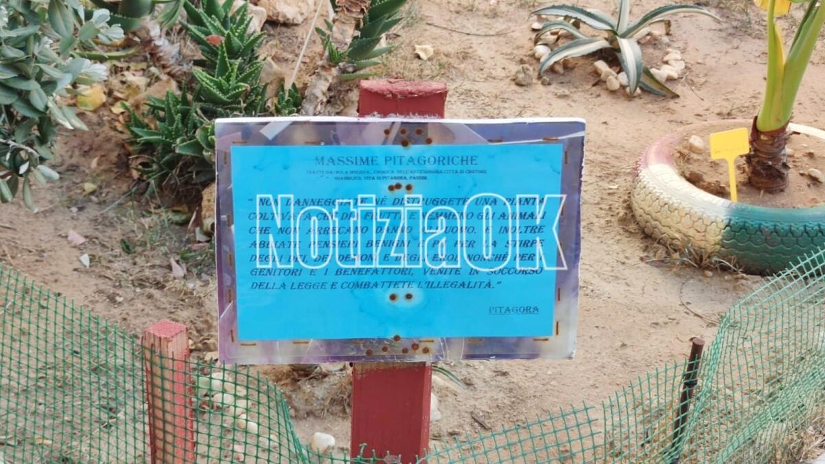 Crotone - Le massime pitagoriche invitano alla cura del belle piante e del bello - 