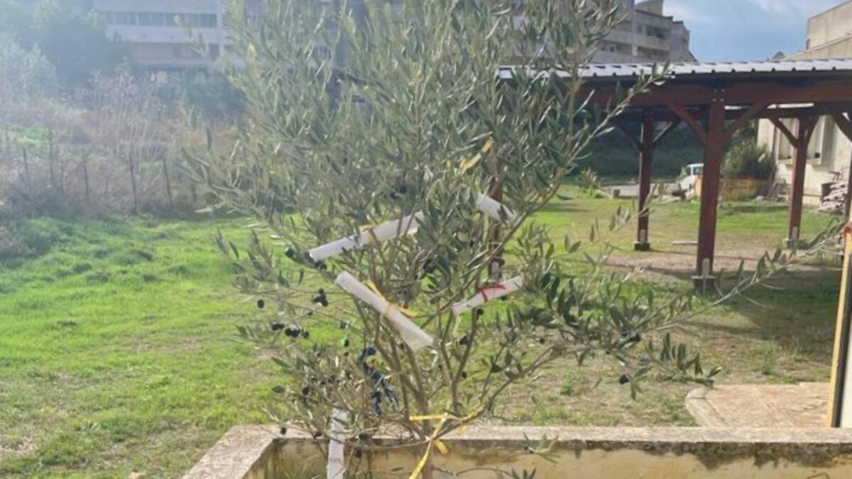 Crotone - Un piccolo ma grande gesto in ricordo di Annamaria - 