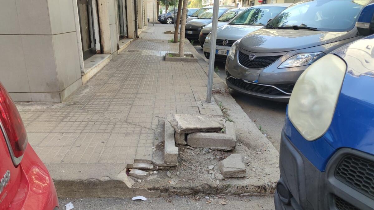 Nei quartieri di Crotone: albero si, albero no, ecco quel che resta -