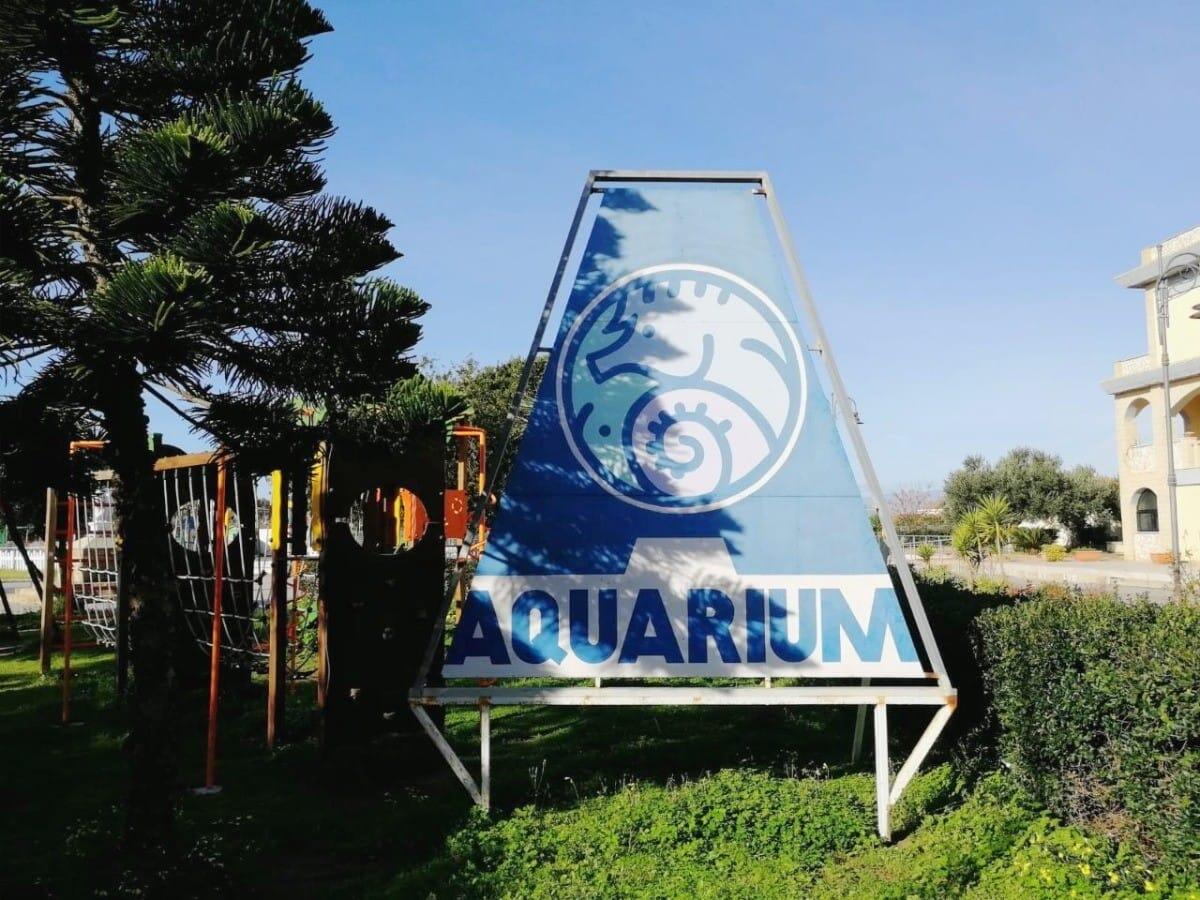 L'Aquarium di Capo Rizzuto a grandi passi verso la riapertura - 