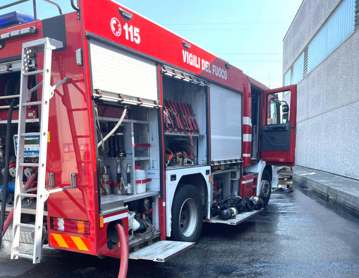 Taglia alcuni alberi con la motosega, ma si taglia un braccio di netto - 