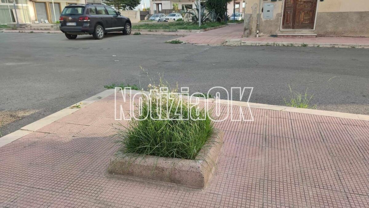 Nei quartieri di Crotone: via Pastificio, una città verde... anzi, verdissima! - 