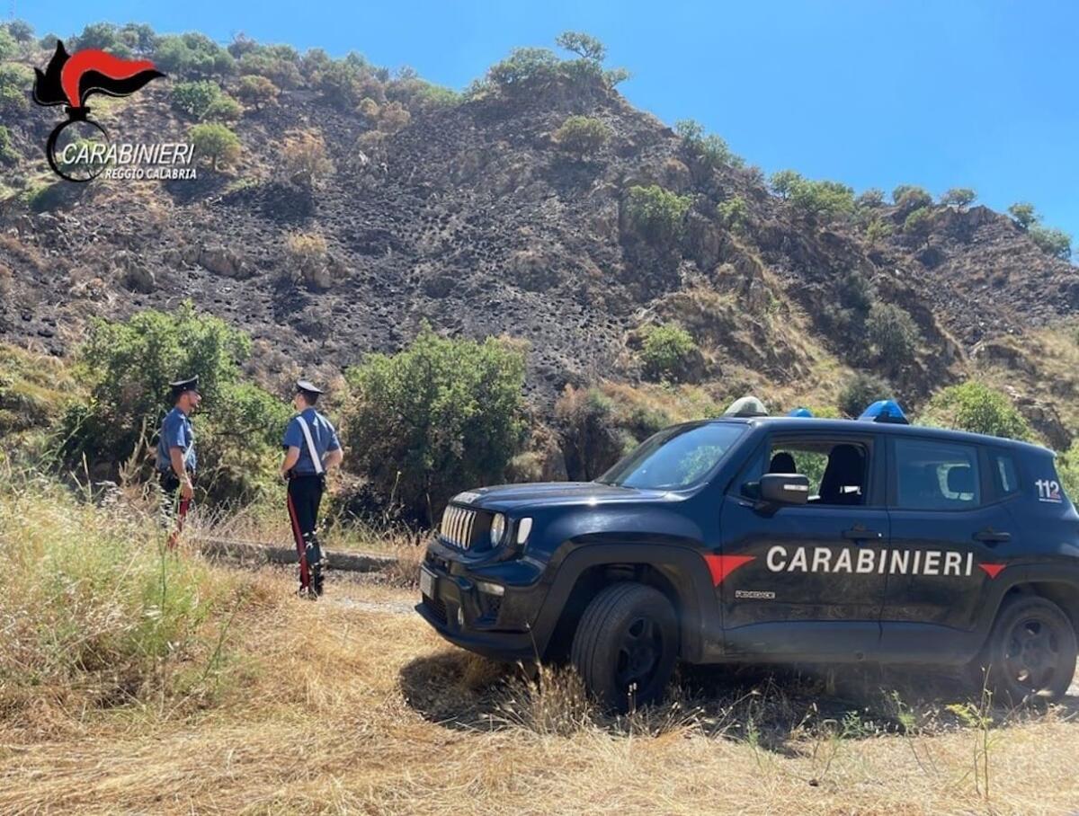 Cronaca - Hanno realizzato una rete abusiva di scarichi fognari, denunciati - 