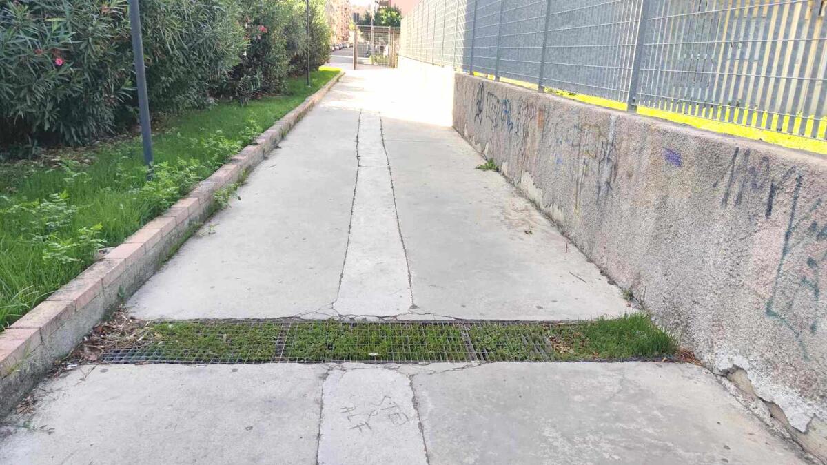 Nei quartieri di Crotone: a Corso Mazzini una grata torna a fiorire - 