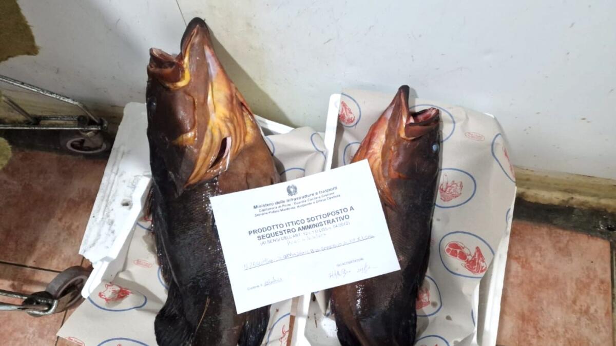 Ancora pesca di frodo nell'Area Marina Protetta: elevata sanzione - 