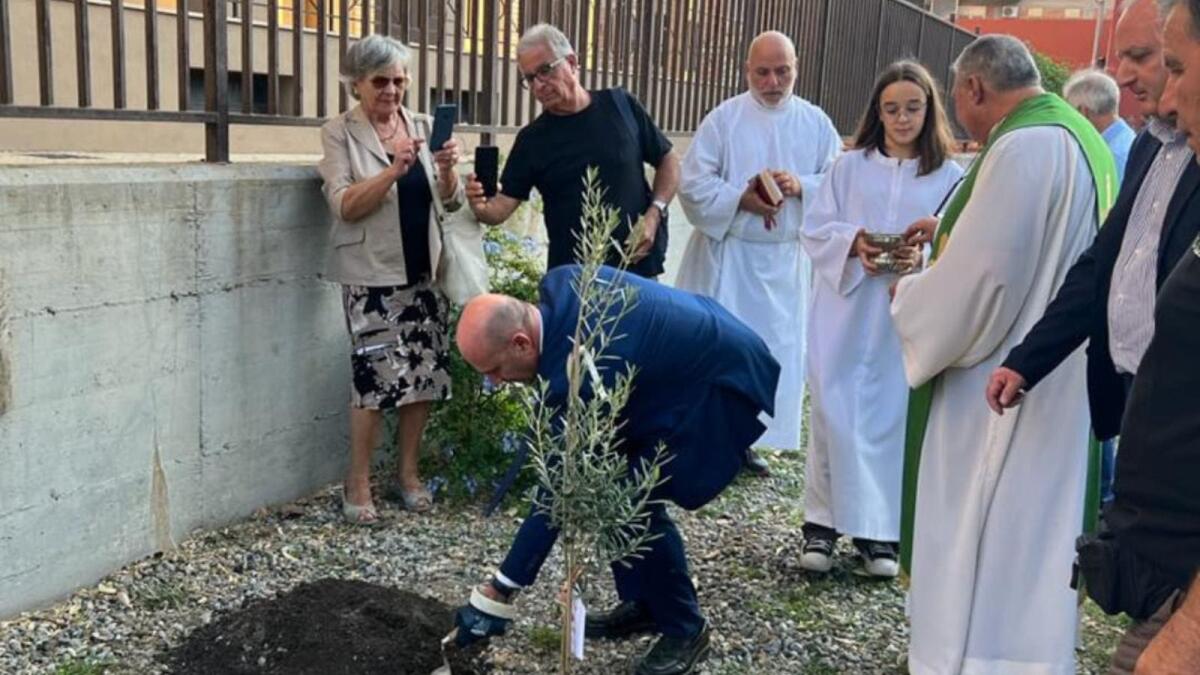 Crotone - Due olivi bianchi in ricordo di Paolo Pupa, Angela Trovato, Luca Buscema, Bruno Commisso, Luca Tavano e Michela Cicchetto - 
