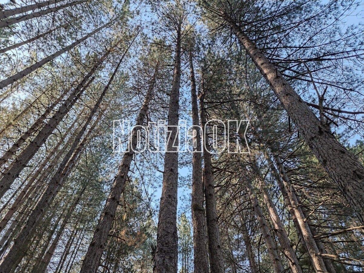 Al via il progetto di educazione ambientale con il Parco Nazionale della Sila - 