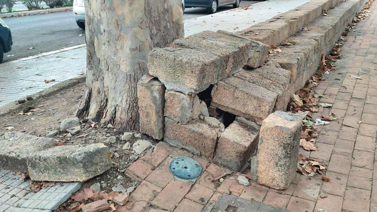 Nei quartieri di Crotone: viale Regina Margherita, tra degrado e rifiuti abbandonati - 