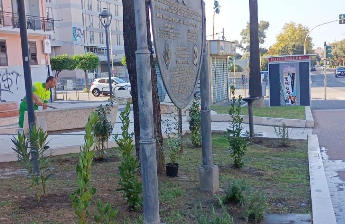 Crotone - Le piante della macchia mediterranea adornano Piazza Delfi - 