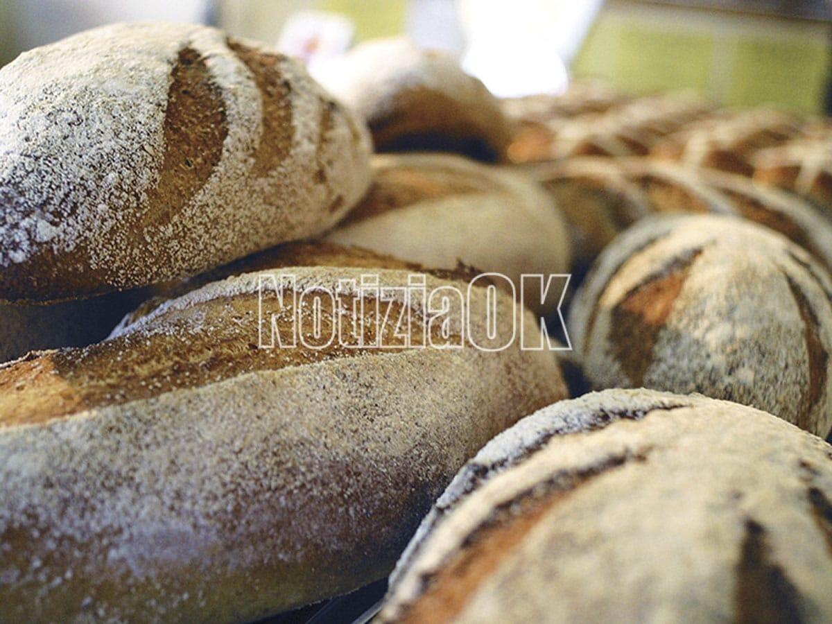 Giornata alimentazione: prima rassegna dei pani tradizionali regionali -