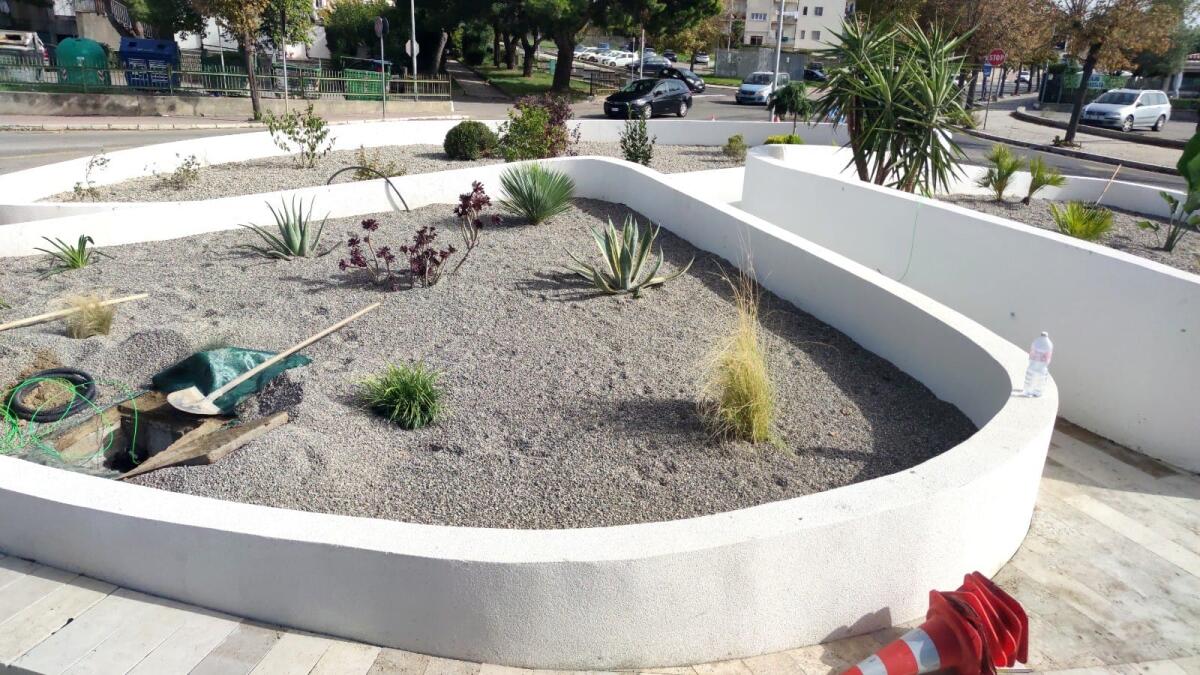 Crotone, arrivano le piante: ultimi lavori alla rotatoria di via Gioacchino da Fiore - 