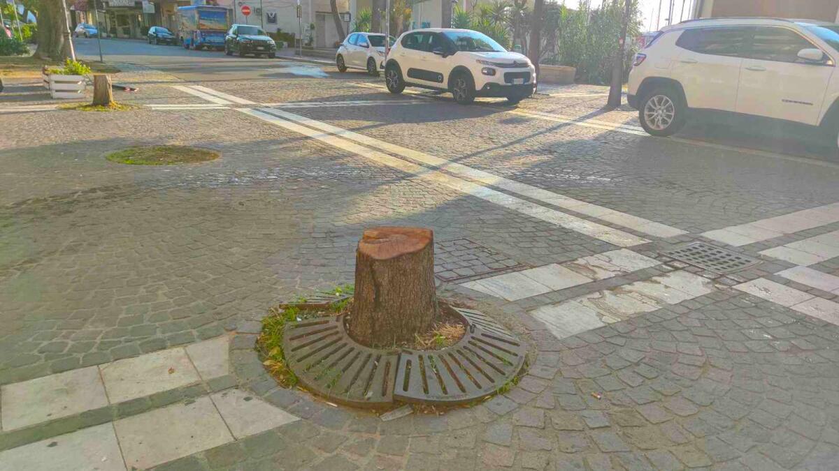Nei quartieri di Crotone: sul lungomare trappole dietro l'angolo e moria di alberi - 