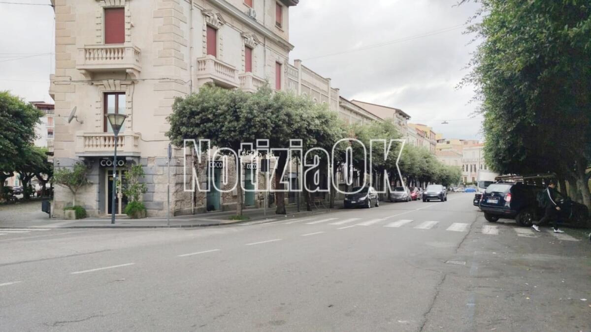 Crotone - "Buon compleanno Dodò": provvedimenti alla viabilità in centro città - 