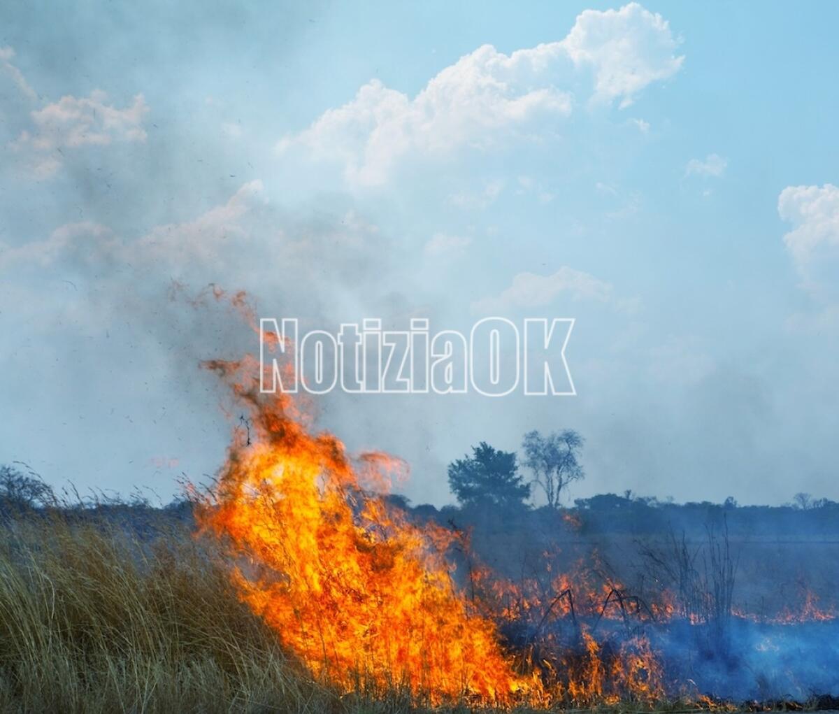 Allarme incendi in Italia. Necessari interventi aerei: tre in Calabria - 