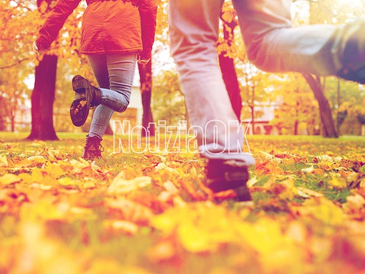 Crotone, arriva la festa d'autunno con appuntamenti inclusivi - 