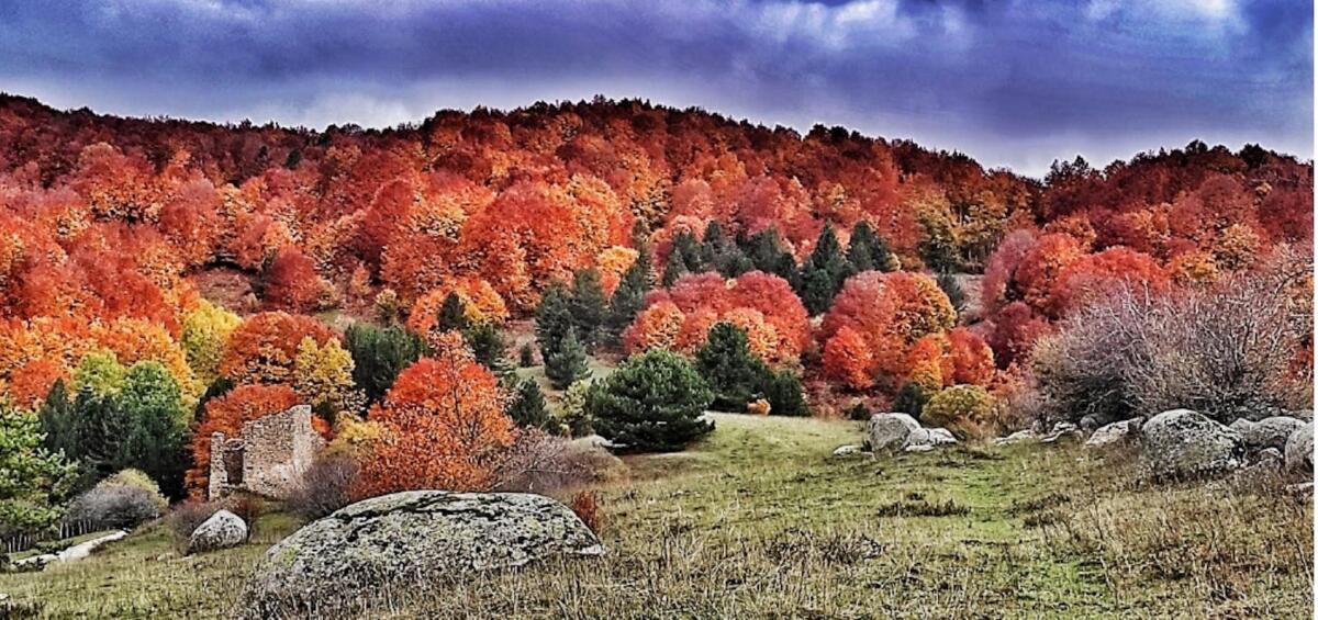 Trekking in Sila alla scoperta del Foliage - 