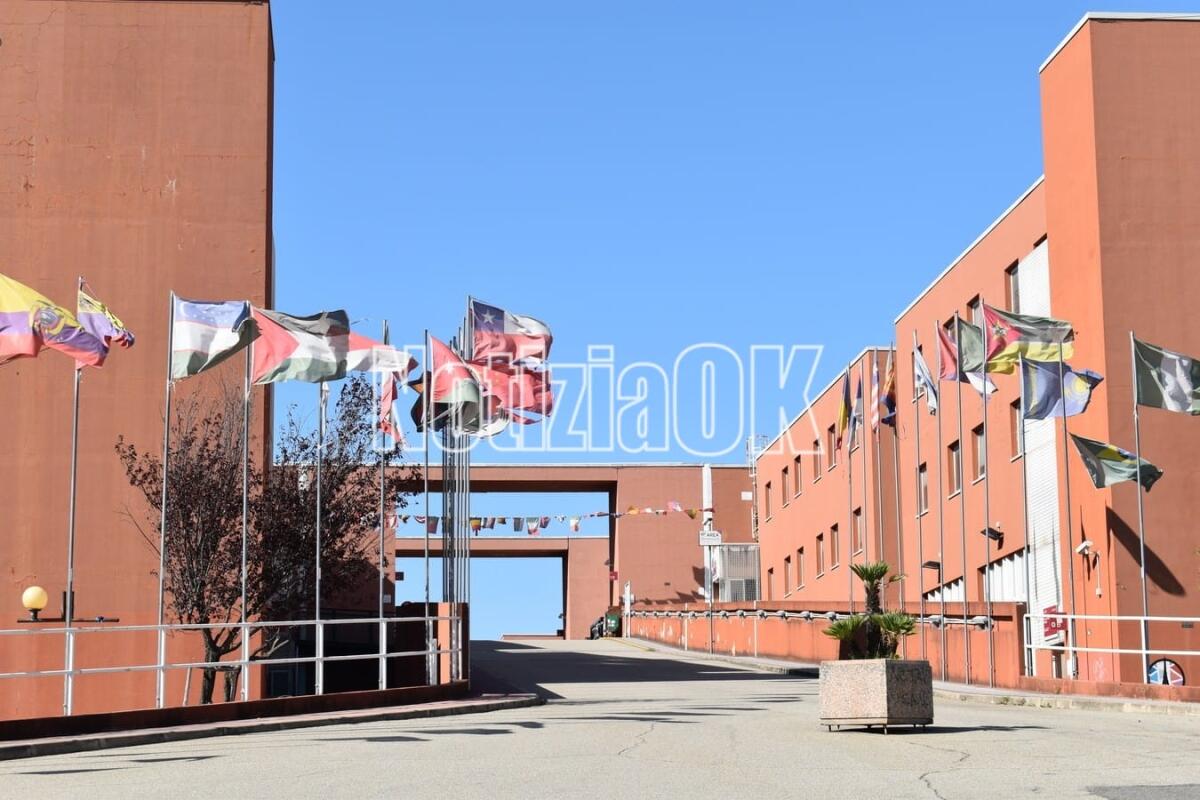 Lo Sportello antiviolenza dell'Università della Calabria, contro le violenze e discriminazioni - 