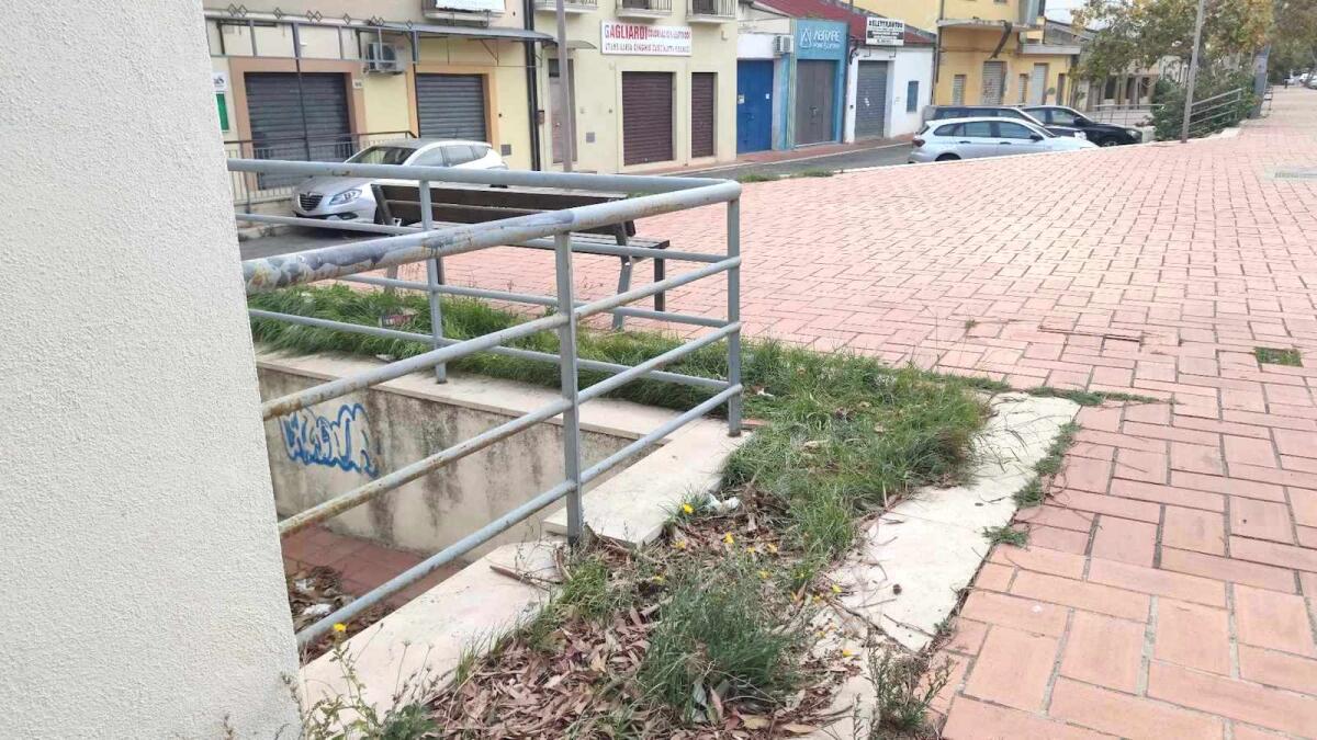 Nei quartieri di Crotone: in città c'è tanto verde ma senza utilità - 