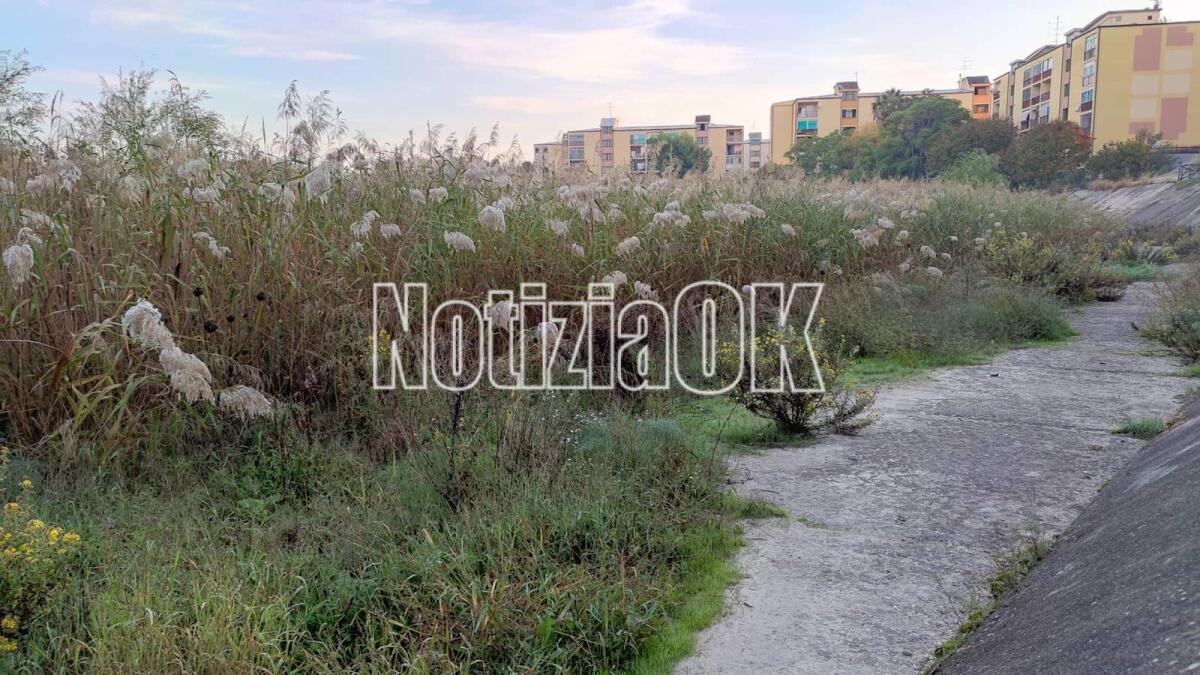 Crotone, interventi di sistemazione idraulica e reticola fognaria del Fiume Esaro - 