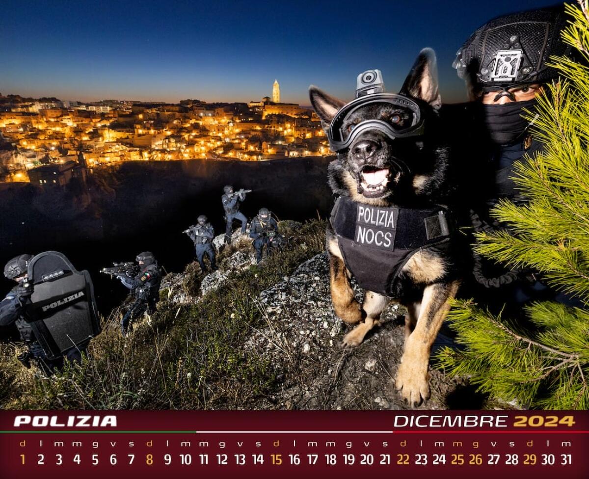 Dodici mesi con la Polizia di Stato, presentato il calendario 2024 - 