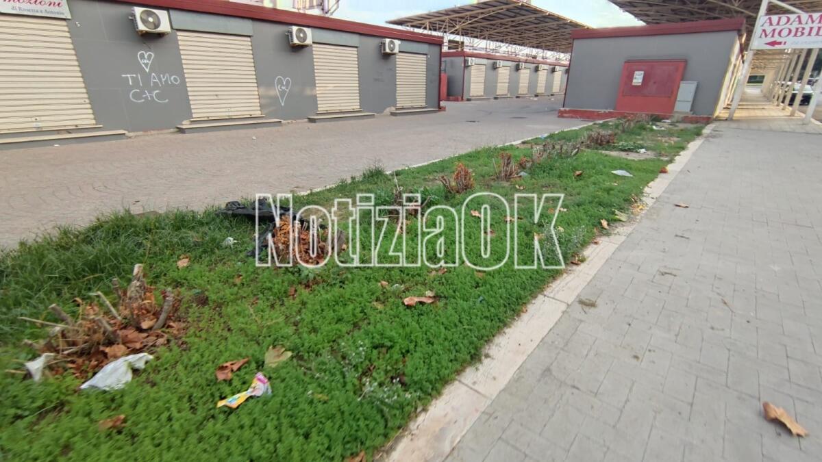 Nei quartieri di Crotone: in via Claudio Crea il verde c'è ma non si vede - 