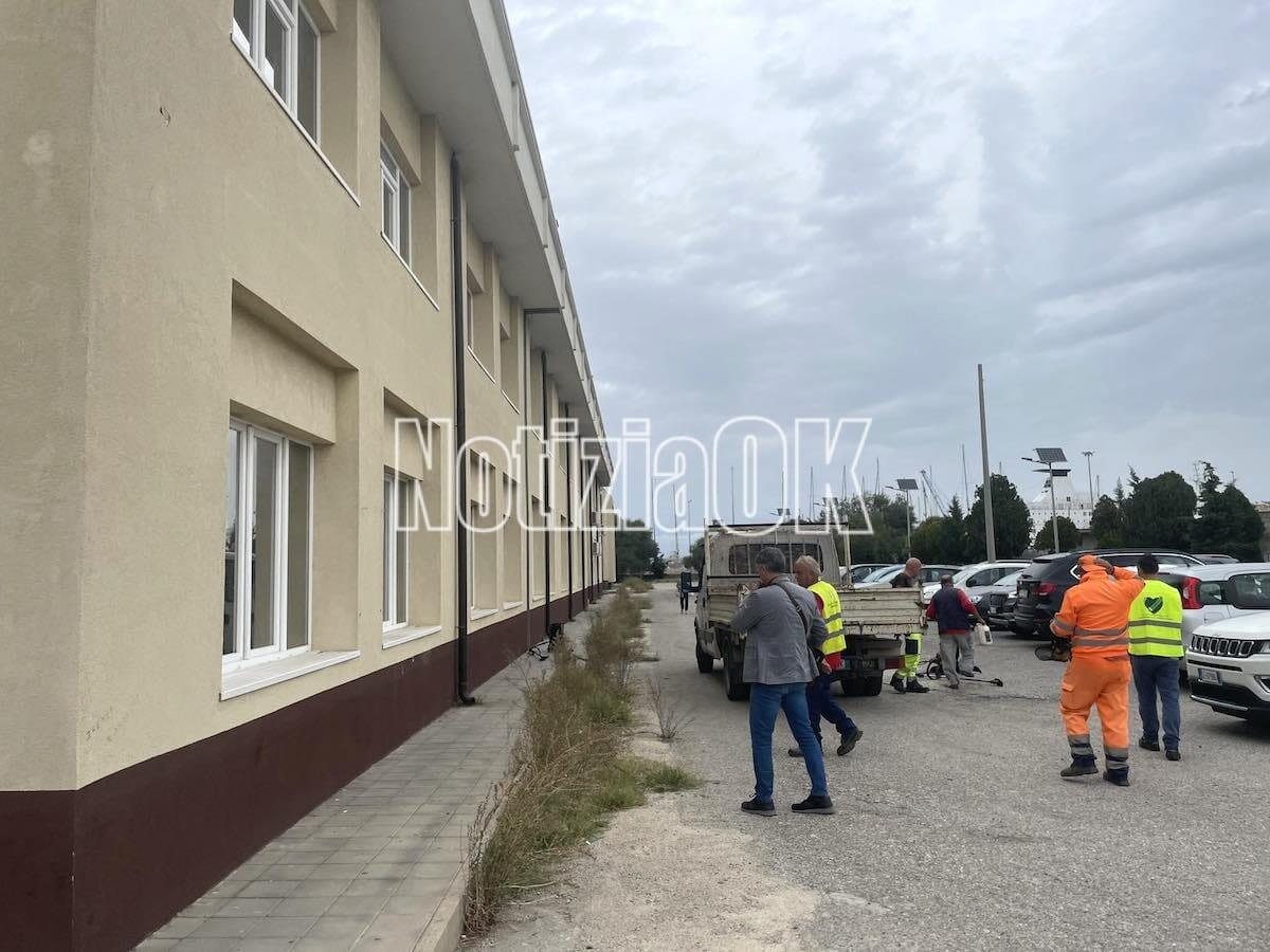 Crotone - Al Filolao inizia la disinfestazione, gli studenti: «Vergognoso fare lezione con i topi» - 
