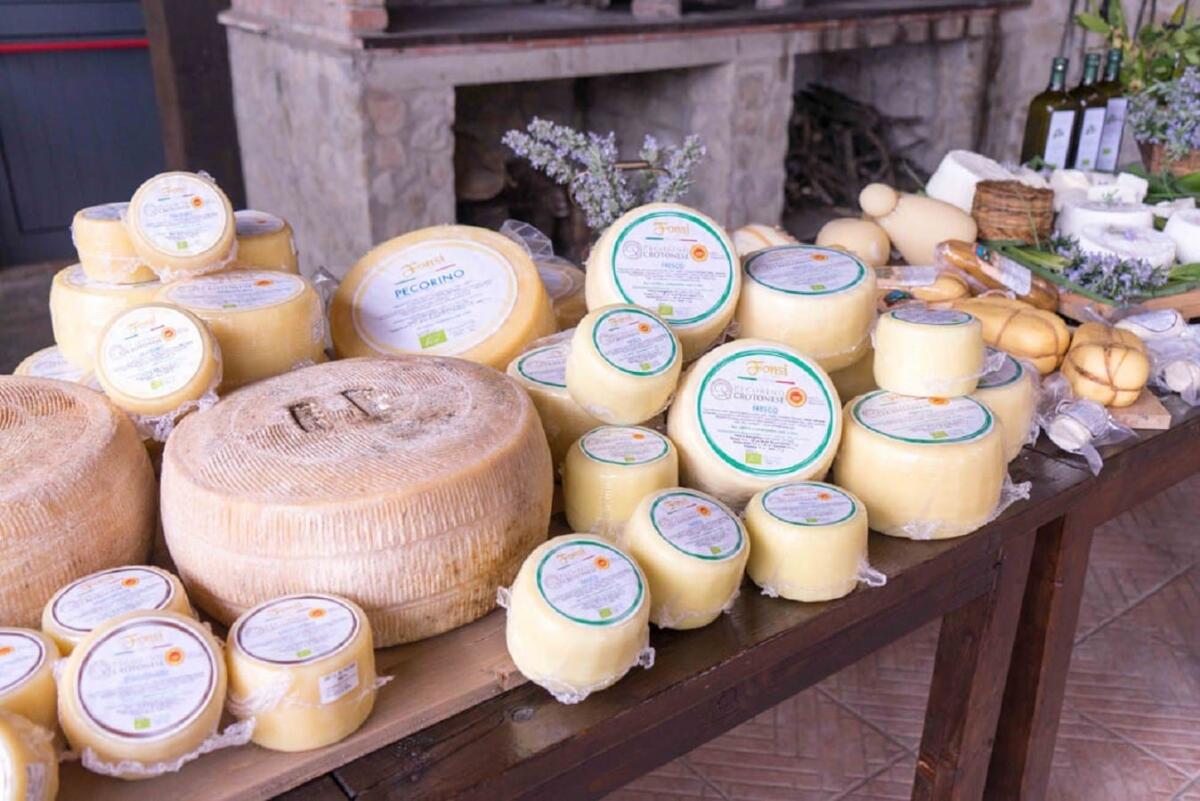 La Rai alla ricerca dei sapori del Pecorino Crotonese DOP -