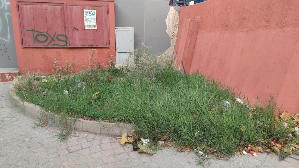 Nei quartieri di Crotone: Piazzale Nettuno, c'è sempre qualcosa che non va - 