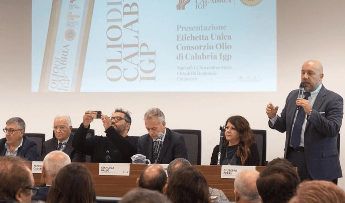 Giornata storica per l'olivocoltura, l'olio di Calabria IGP ha l'etichetta unica - 