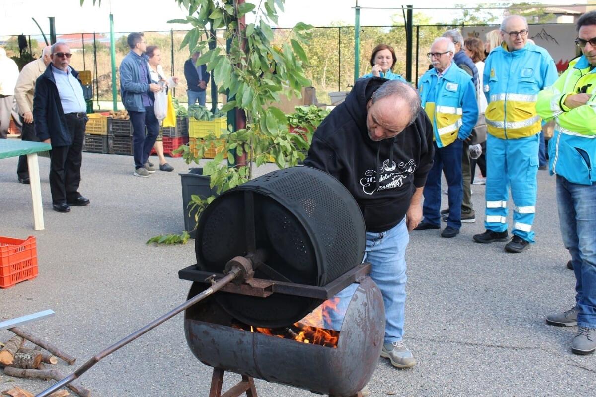 A Crotone i sapori d'Autunno con la "Castagnata" - 