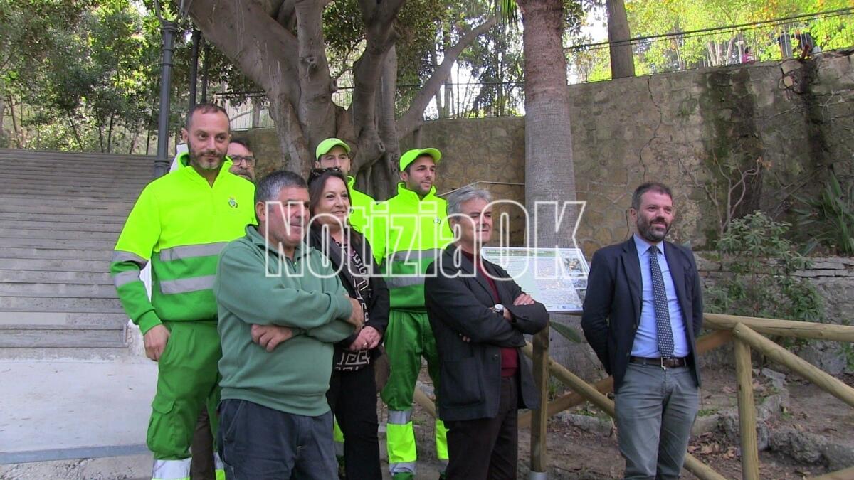 Crotone - Dichiarato monumentale il Ficus della Villa Comunale: al via nuove piantumazioni - 