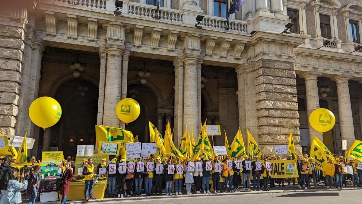 Carne artificiale: il divieto diventa legge: alla manifestazione una delegazione di giovani calabresi - 