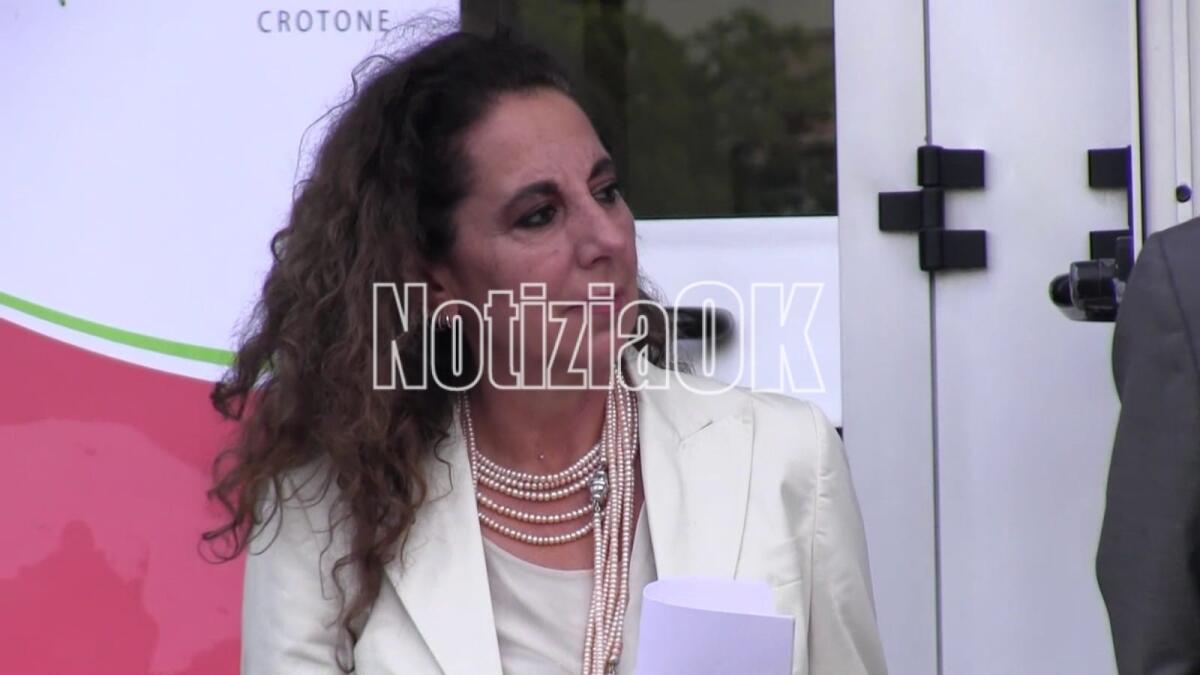 Operazione "Alto impatto" in Calabria, Wanda Ferro: "Lo Stato è presente" - 