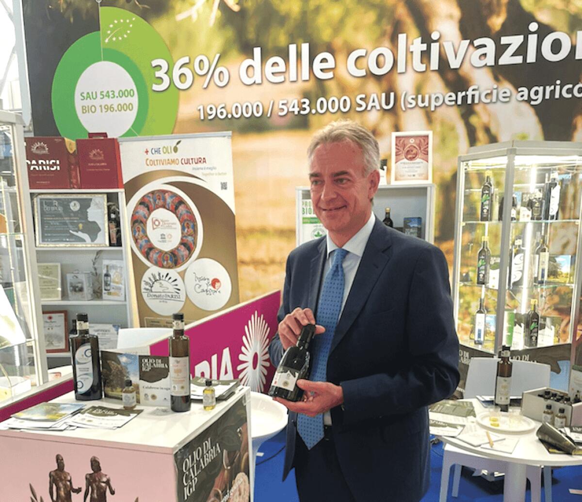 L'assessore regionale all'Agricoltura Gianluca Gallo: «La filiera olivicola  patrimonio che va  tutelato e sostenuto» - 