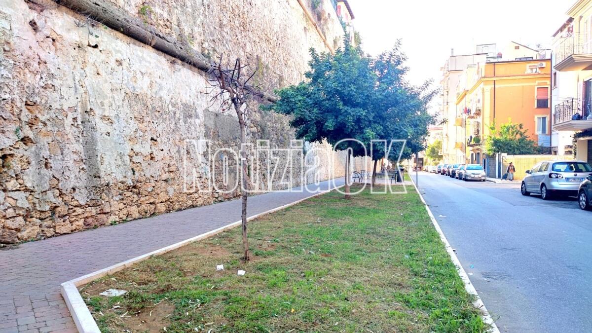 Nei quartieri di Crotone: in via Tellini per Natale regaliamo un nuovo albero - 