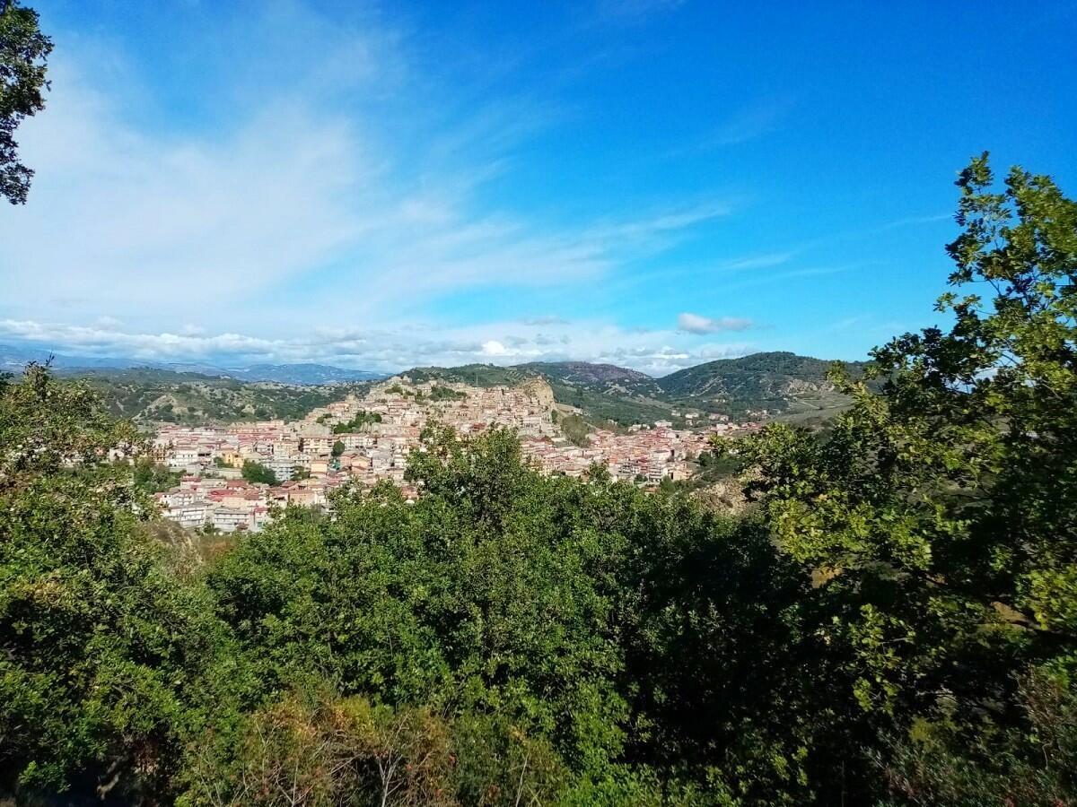 Il Postale 2.0 arriva a Roccabernarda per l'accensione del maestoso albero - 