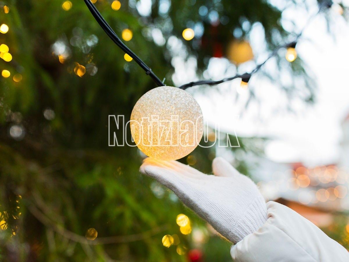 A Roccabernarda in arrivo un imponente albero di Natale - 