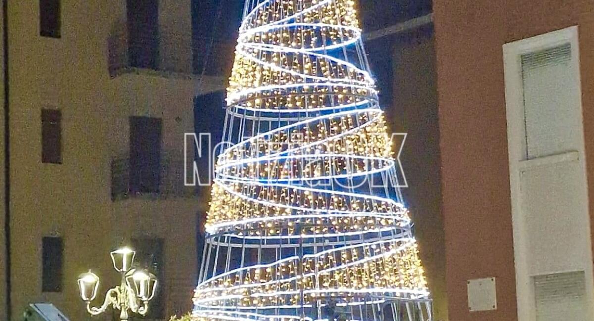 Crotone, è arrivato l’albero di Natale: oggi le prove di accensione - 